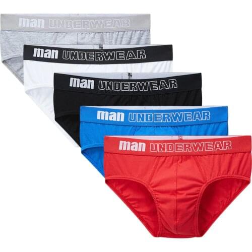 5 pcs/lot Mens Underwear Briefs for Men Calzoncillos Hombre Cotton Male Underpants Mens Underware Man Pouch Brief