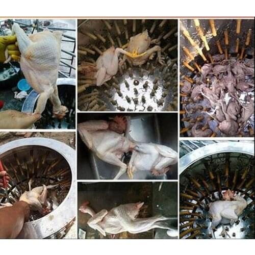 220V Multifunction Stainless Steel Poultry Hair Removal Machine Duck Goose Chicken Bird Defeathering Plucking Machine Depilator