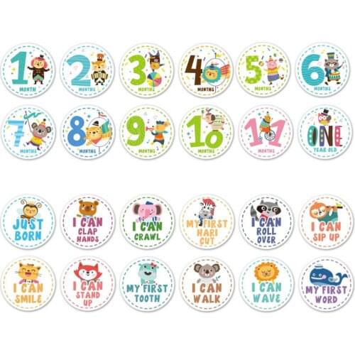 Baby Monthly Milestone Stickers Shower Registry Gift Scrapbook Photo Memory Keepsake