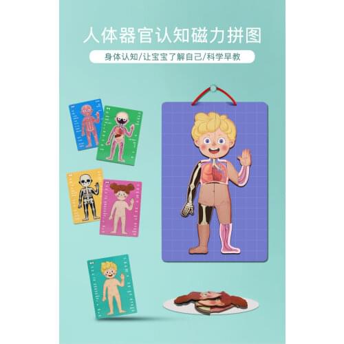 Body Cognition cards Magnet Puzzle Fun Biology Science Educational Early Learning Toys for Children Birthday Gift