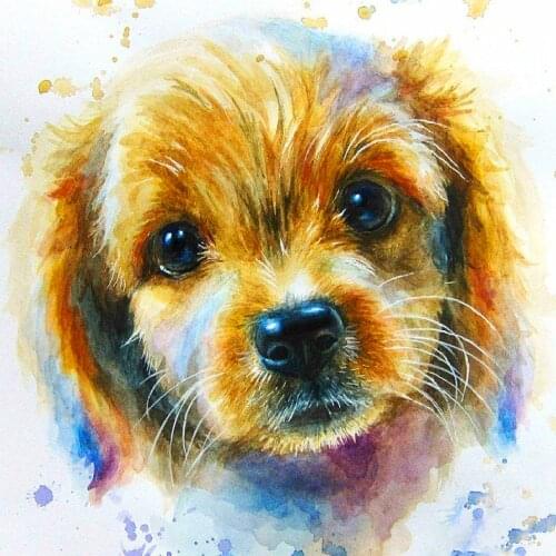 Evershine 5D DIY Diamond Embroidery Dog Rhinestone Art Full Square Diamond Painting Animals Cross Stitch Mosaic Home Decoration