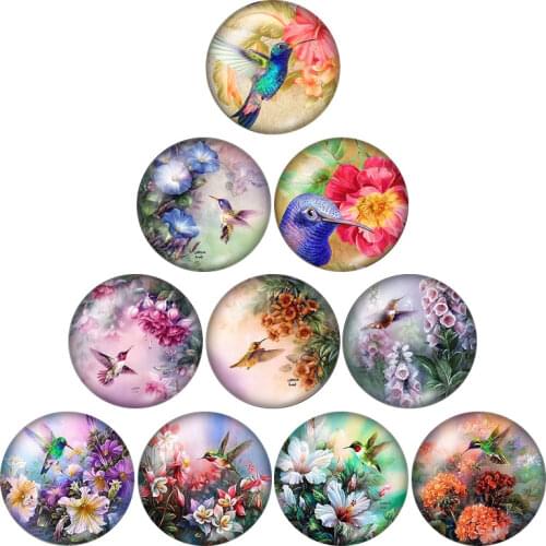 New BeautyBirds Hummingbird10pcs mixed 12mm/16mm/18mm/25mm Round photoglass cabochondemo flat backMaking findings ZB0574