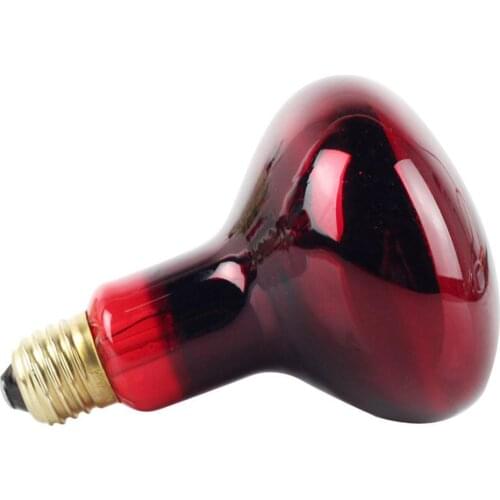 AsyPets Incandescent Lamps