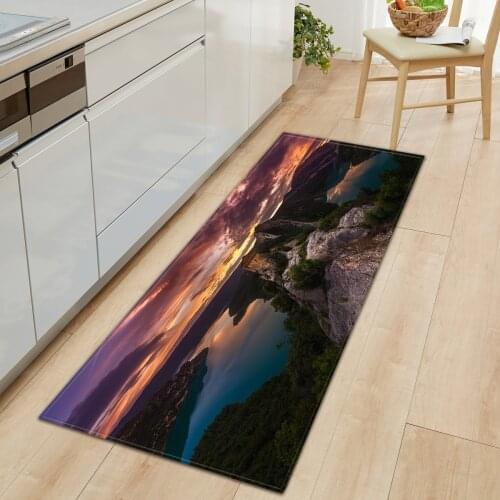 Printed Floor Mats Hallway Rug Non Slip Kitchen Footmat Water Absorbent Rugs Home Decor Carpet for Living Room Bedroom Door Mat