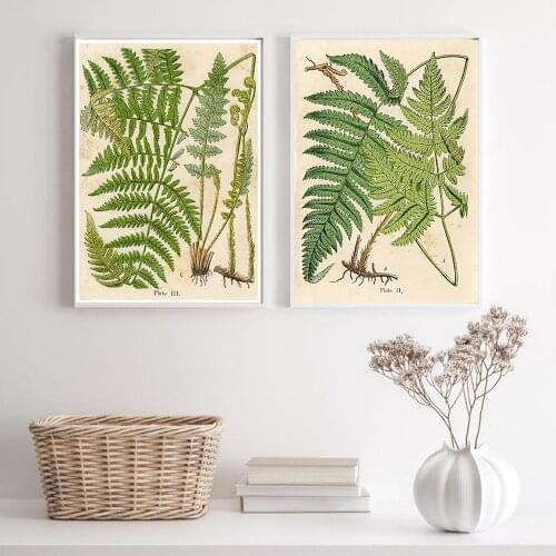 Vintage Fern Botanical Prints Plants Prints Painting Posters French Plant Illustrations Wall Art Prints Pictures For Living Room