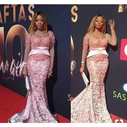 Pink Lace Long Sleeves Celebrity Dresses Red Carpet Holidays Graduation Wear Formal Evening Party Gowns Plus Size Custom Made