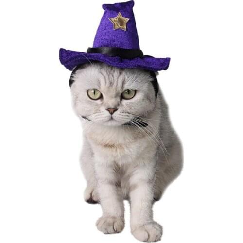 Pet Cats Halloween Costumes Halloween Party Witch Dog Hat Costume Accessory Purple Velour Halloween Costume
