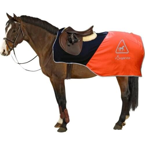 Winter Waterproof And Warm Thick Lamb Wool Liner Canvas Cold Protection Keep Warm Horse Rugs