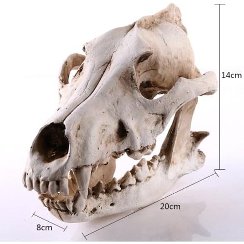 BUF Resin Craft Halloween Decoration lifelike Wolf Skull Statues Creative Decoration Skull Statue Sculpture Art Sketch Model