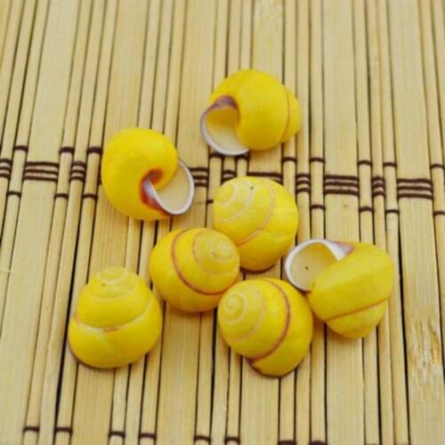 Golden natural shell conch seashells wholesale Sea Shells Aquarium Nautical Decor Ornaments natural mini conch mediterranean