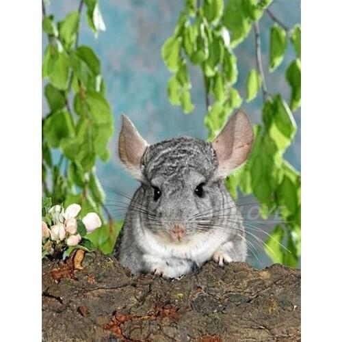 5D DIY Diamond Painting Chinchilla lanigera Molina Handcraft 3D Diamond Embroidery Diamond Mosaic Resin Round Square Drill TY658