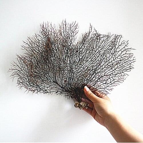 Natural Conchand Shell Sea Willow Tree Sea Iron Tree Coral Branch Red Willow Fish Tank Landscaping Home Decoration Wall Stickers