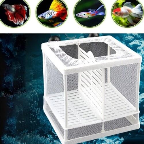 Pet Hatchery Isolation Mesh Box Transparent Breeder Aquarium Hatchery Fishes Breeding Isolation Box Aquarium Supplies