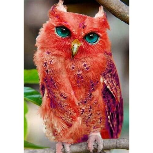 Cartoon Owl Wholesale diamond painting cross stitch full diamond embroidery wedding decoration square drill christmas gift M033