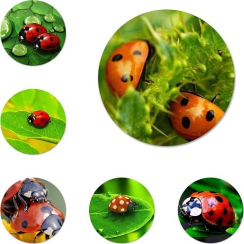 Leaf ladybug daisy Icons Pins Badge Decoration Brooches Metal Badges For Clothes Backpack Decoration