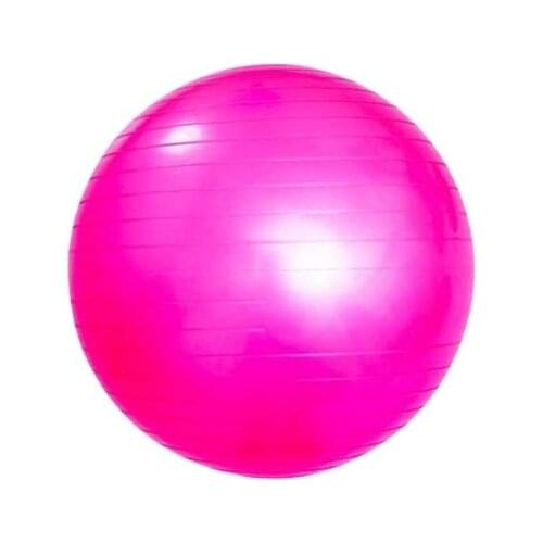 PVC High Quality Yoga 45cm 55cm 65cm 75cm 85cm 95cm Eco-Friendly Gym Fitness Ball