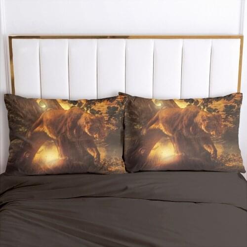 Sourwaves Decorative Pillowcases