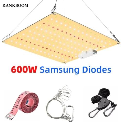 RANKBOOM LED Plant Lamps