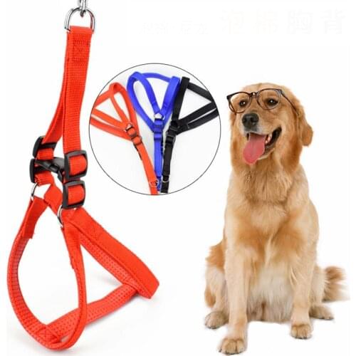 Dogstory Goods For Sports And Recreation