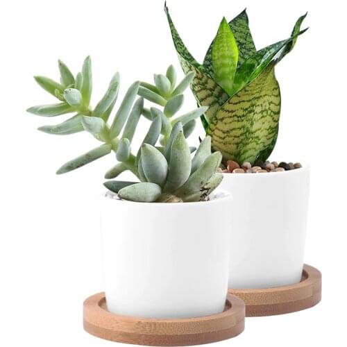 Glazed White Ceramic Plant Pots Crafts Flower Pots Planter Ceramic Mini Pots Succulent Planter Flower Herb Pot 2/4/6PCS