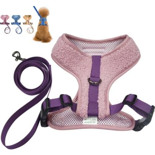 The New Dog Leash Pet Chest Strap Comes with A Double Buckle and A Wear-resistant Pet Product Manufacturer Puppy Accessories