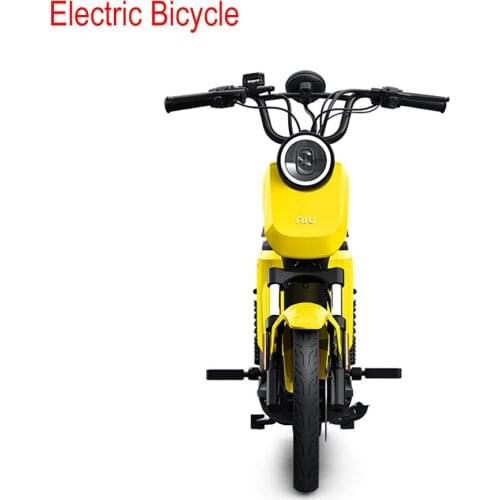 Youth Edition Electric Vehicle New National Standard Smart Lithium Battery 48V Voltage Adult General Simple Operation