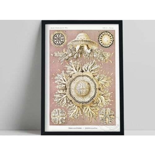 Nordic Style Poster, Fish Shrimp Crabs Hand Painted Colored Art Prints, Vintage Art Surrealist Marine Animals Home Wall Decor