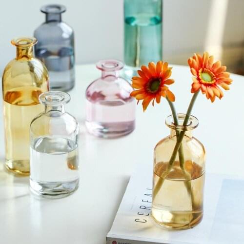 Style Vase Decoration LivingRoom Flower Arrangement Dried Flower Glass Transparent Dill Home Desktop Bedroom Dress Up