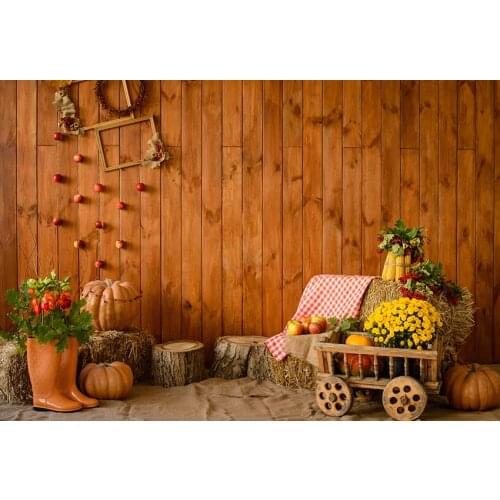Farmer house photo background vinyl 2020 retro portrait photography backdrops in photographer studio props fotografia lv-2101