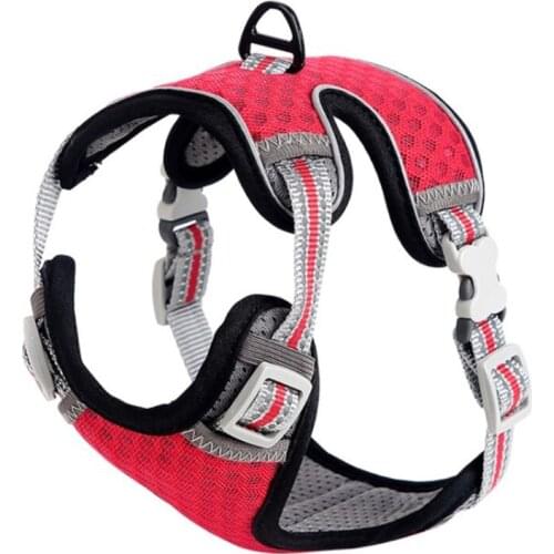 Explosion-Proof Cat Harness and Leash for Walking Comfortable Outdoor Vest Breathable Mesh Reflective Strip Gift for Pet
