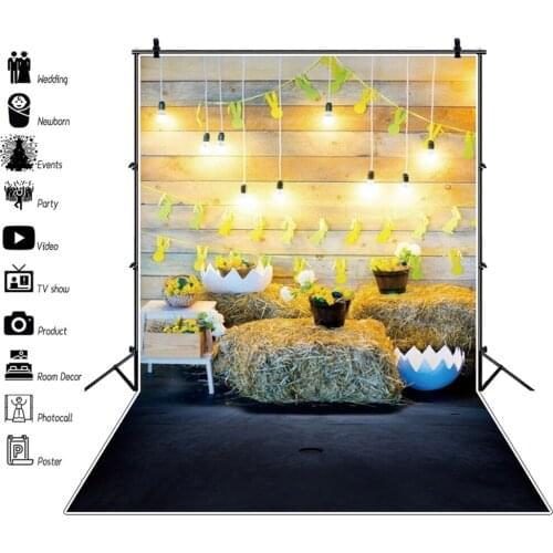 Easter Spring Rabbit Eggs Hay Block Barn Newborn Baby Photography Backdrop Vinyl Photographic Background For Photo Studio Shoot