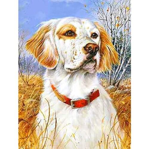 Evershine 5D DIY Diamond Painting Dog Rhinestone Art Diamond Embroidery Animal Cross Stitch Mosaic Wall Decoration