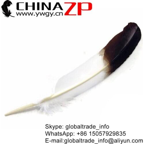 CHINAZP Factory 50pcs/lot Gorgeous Graceful Dyed White and Brown Turkey Rounds Quill Wing Feathers