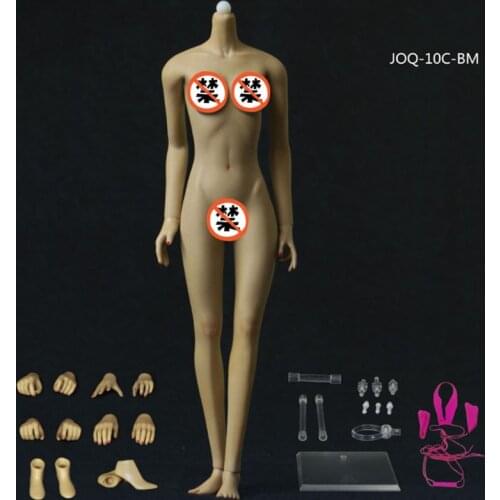 JOQ-10D 1/6 Asia Shape Female Seamless Body Scale Flexible (Big bust) Skeleton Stainless Steel Ball Detachable Foot Model