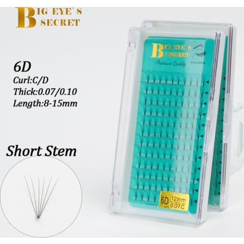 Big eyes secret 6D volume eyelash make up eyelash extensions hand-made faux mink premium eyelashes premade fans