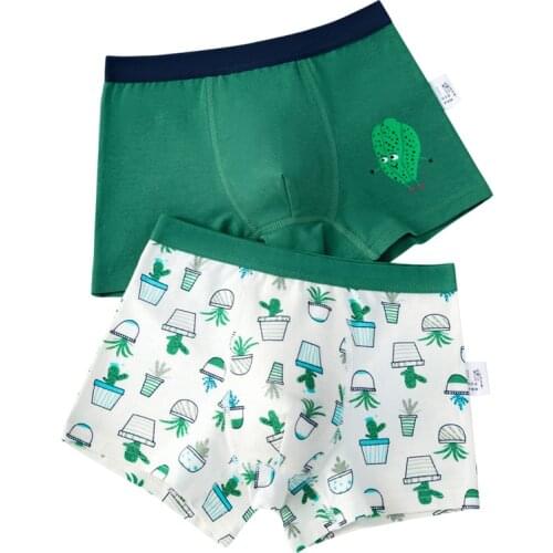 2Pcs Lot Boys Cotton Underpanties Cactus Designs Kids Shorts Childrens Bottoms Soft Breathable 2 To 14 Years ZL8911