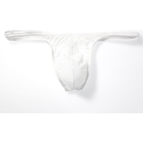 Mens Sexy Low Rise Mesh Briefs G-string Bikini Thong T-Back Underwear Underpants Thin Nylon Breathable Briefs Underwear Underpan