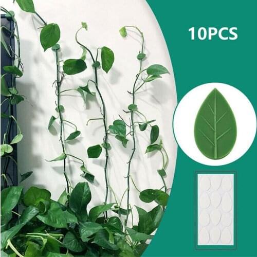 10Pcs Plant Fixture Clip Plant Climbing Wall Adhesive Fastener Tied Fixture Vine Buckle Hook Garden Plant Wall Climbing