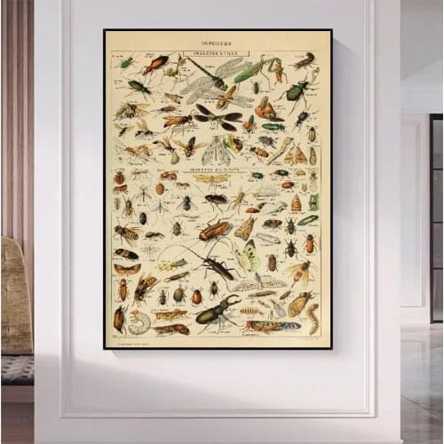 Vintage Insect Millot Encyclopedia Picture Canvas Painting Modern Posters and Prints Wall Art Pictures for Kids Nursery Decor