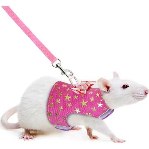 Pet Mesh Soft Harness Leash Small Animal Vest Lead Hamster Rabbit Traction Rope D-ring Design Washable 3 Colors Pet Harness Set