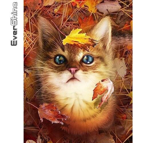 Evershine Full Square Diamond Embroidery Cat 5D DIY Diamond Painting Animal Cross Stitch Autumn Home Decor Gift