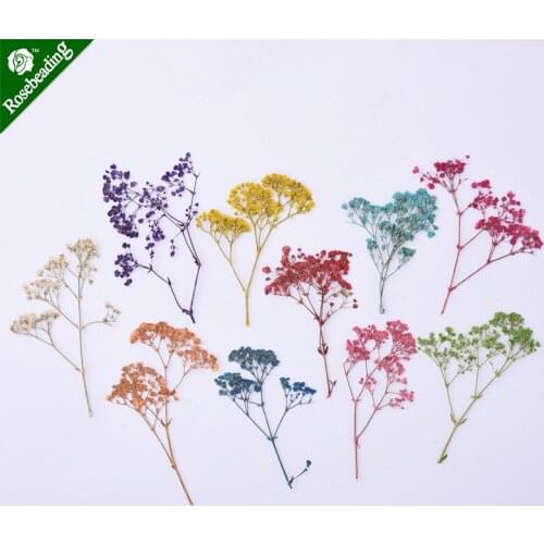 10pcs/lot 40-60mm Dried Real Pressed Flower Stickers,Mini flowers,babysbreath-10098049