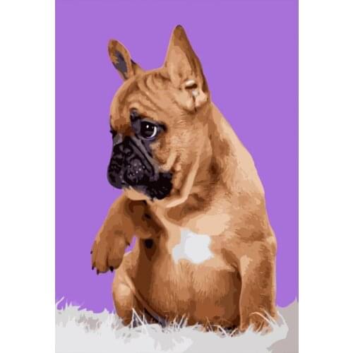 DIY paintings by numbers Animal Dog Canvas for Painting home decor Picture Coloring By Numbers Christmas 40x50 cm
