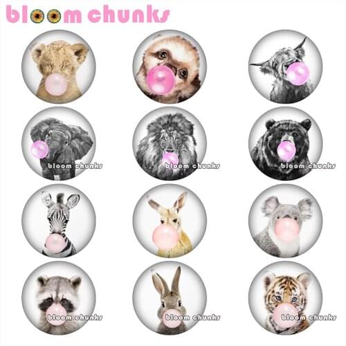 Round photo glass cabochon ballons elephant lion tiger bunny demo flat back Making findings 12mm/18mm/20mm/25mm A8261