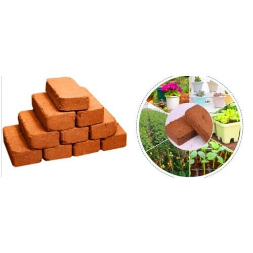 Aseptic compressed coconut peat nutrient soil