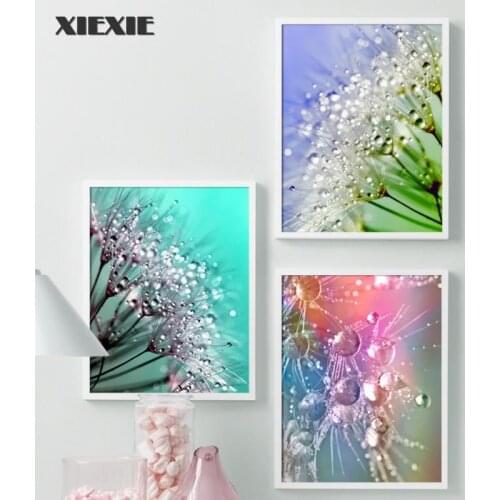 Colorful Plants Dandelion Water Droplets Wall Art Canvas Painting Nordic Posters and Prints Plant Wall Pictures for Living Room