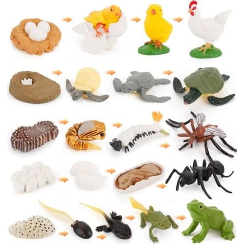 Early Kid Simulation Animals Growth Cycle Figure Toy Nature Pretend Play Frog Ant Mosquito Sea Turtle Chicken Model Figures toys