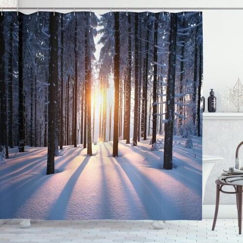 Landscape Woods Shower Curtain Set Snow Covered Forest Trees Curtain for Bathroom Decor 12 Hooks Decorative Bath Accessory
