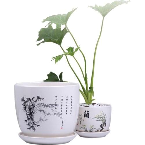 Tcup Plant Pots