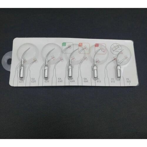 Xceldent Cookie Stamps